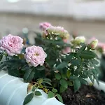Appartamento Casa Rosas Do Mondego *